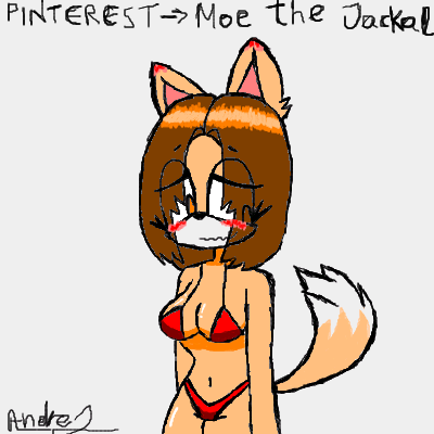 Moe the jackal