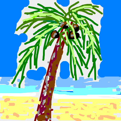 coconut tropical tree beach