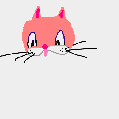 kitten