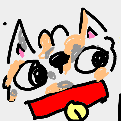 Weird cat